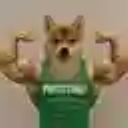 proteinu