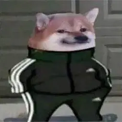 SI