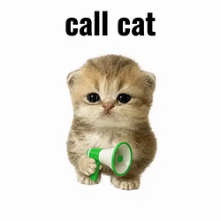 callcat