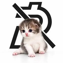 Brokecat