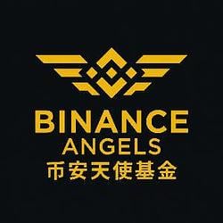要捐他妈的自己往地址转啊 开尼玛呢 / BNB