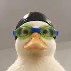 Nasduck
