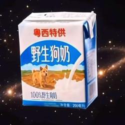 野生狗奶