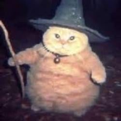 catzard