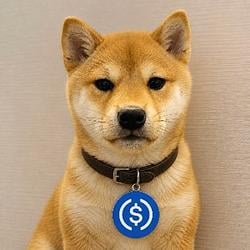 DOLLAR / USDC