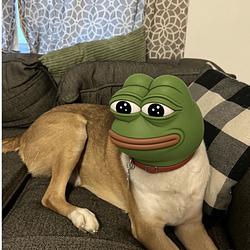 PEPDOG