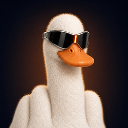 FUCKDUCK / SOL