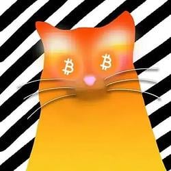 Op_cat