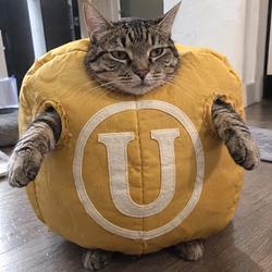ULCAT