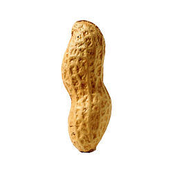 PNUT / SOL