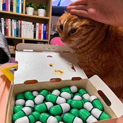 Gcat