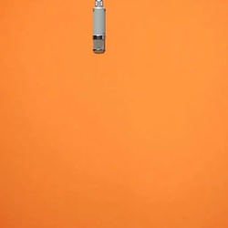 MIC
