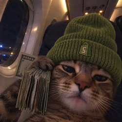 ECOMCAT
