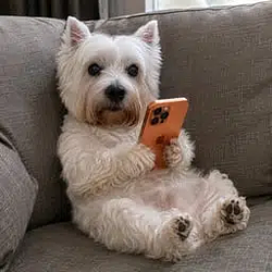 Karlo