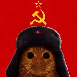 c☭t