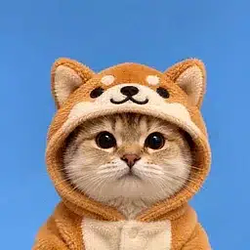 CATINU