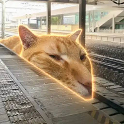 traincat / SOL