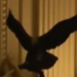 Eagle
