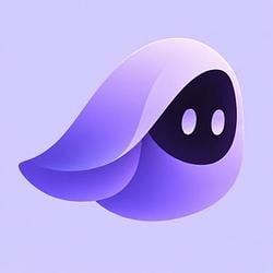 VEIL