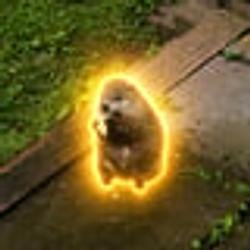 JEFF / SOL