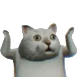 IDKCAT / SOL