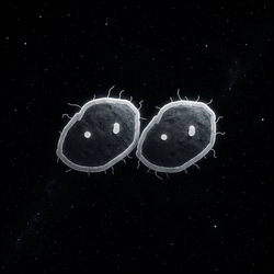 SpaceBalls