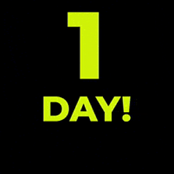 1DAY!