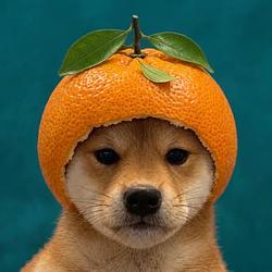 MANDARINU