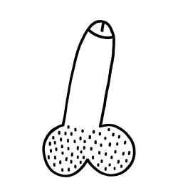 PENIS / SOL