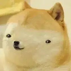 SI