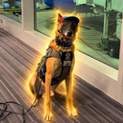 FLASH
