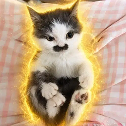 Kitler / SOL