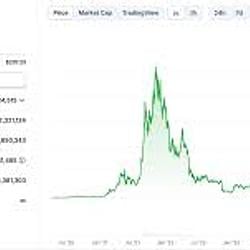 The Last Support logo