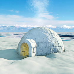 Igloo coin