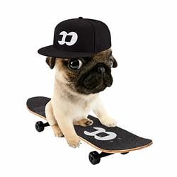 FOMOPUG