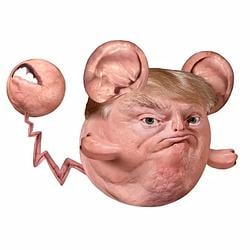 POKETRUMP / SOL