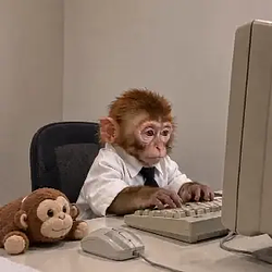 MONKEY