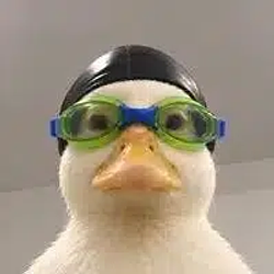 Nasduck