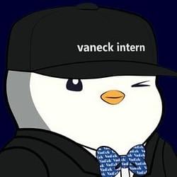 VANECK / BNB