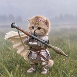 RPGCAT