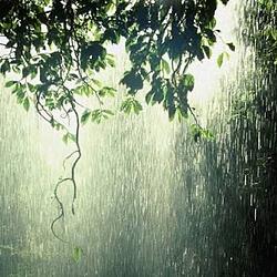 RAIN / SOL