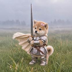 knightinu