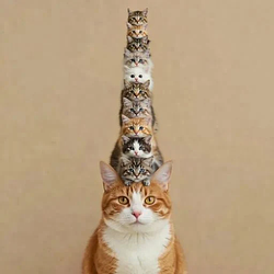 cCAT