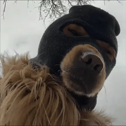 SKI