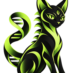 CHCAT / SOL