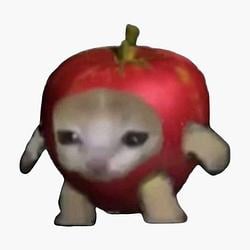 AAPLCAT