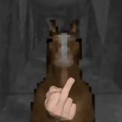 Horse / USDC
