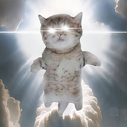 Up