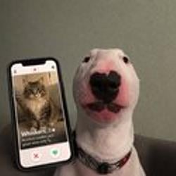 catfished / SOL