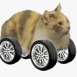 CARCAR
